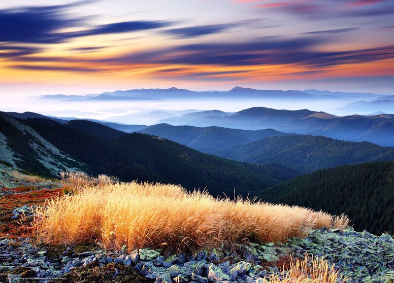 Golden Grass on Mountain — Orange, Serene, Sunset, Photograph, Mountains, Sky