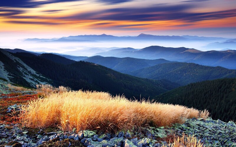 Golden Grass on Mountain — Orange, Serene, Sunset, Photograph, Mountains