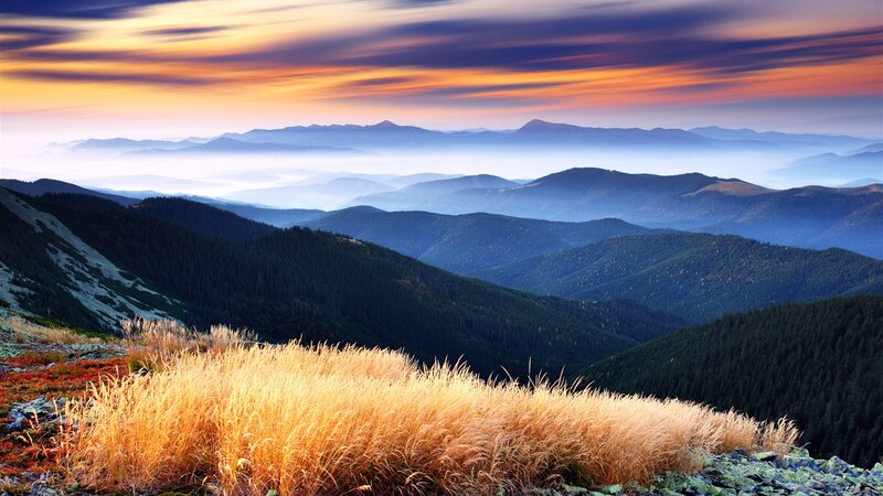Golden Grass on Mountain — Orange, Serene, Sunset