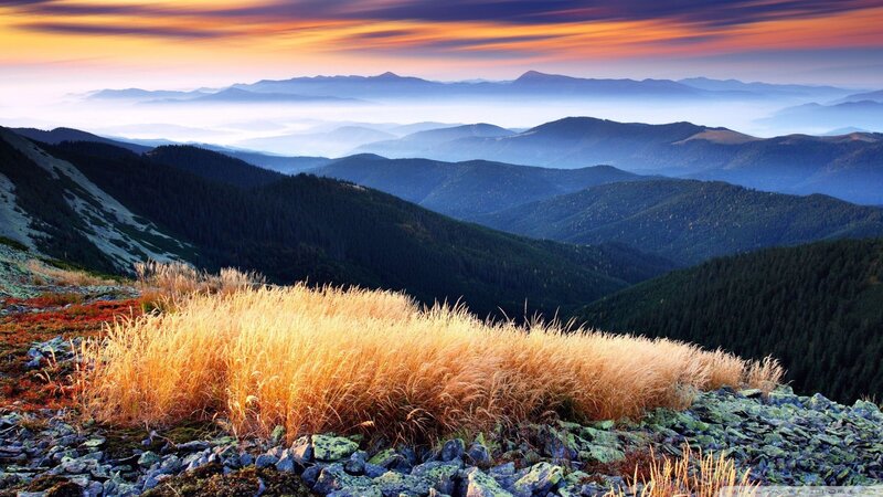 Golden Grass on Mountain — Orange, Serene