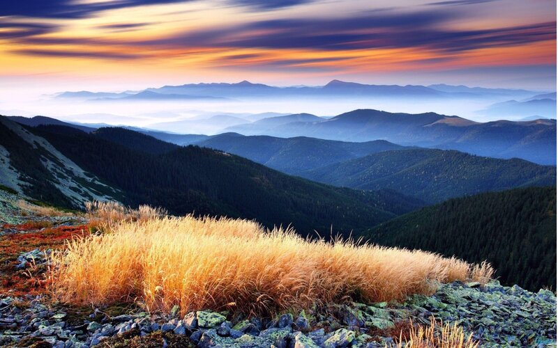 Golden Grass on Mountain — Orange