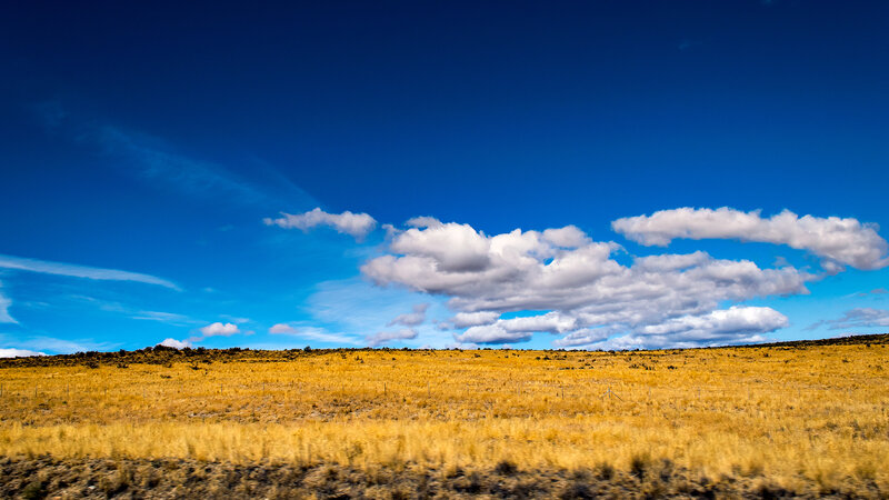Golden Grassland under Blue Sky