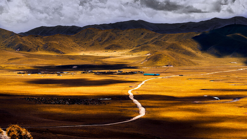 Golden Grassland Valley