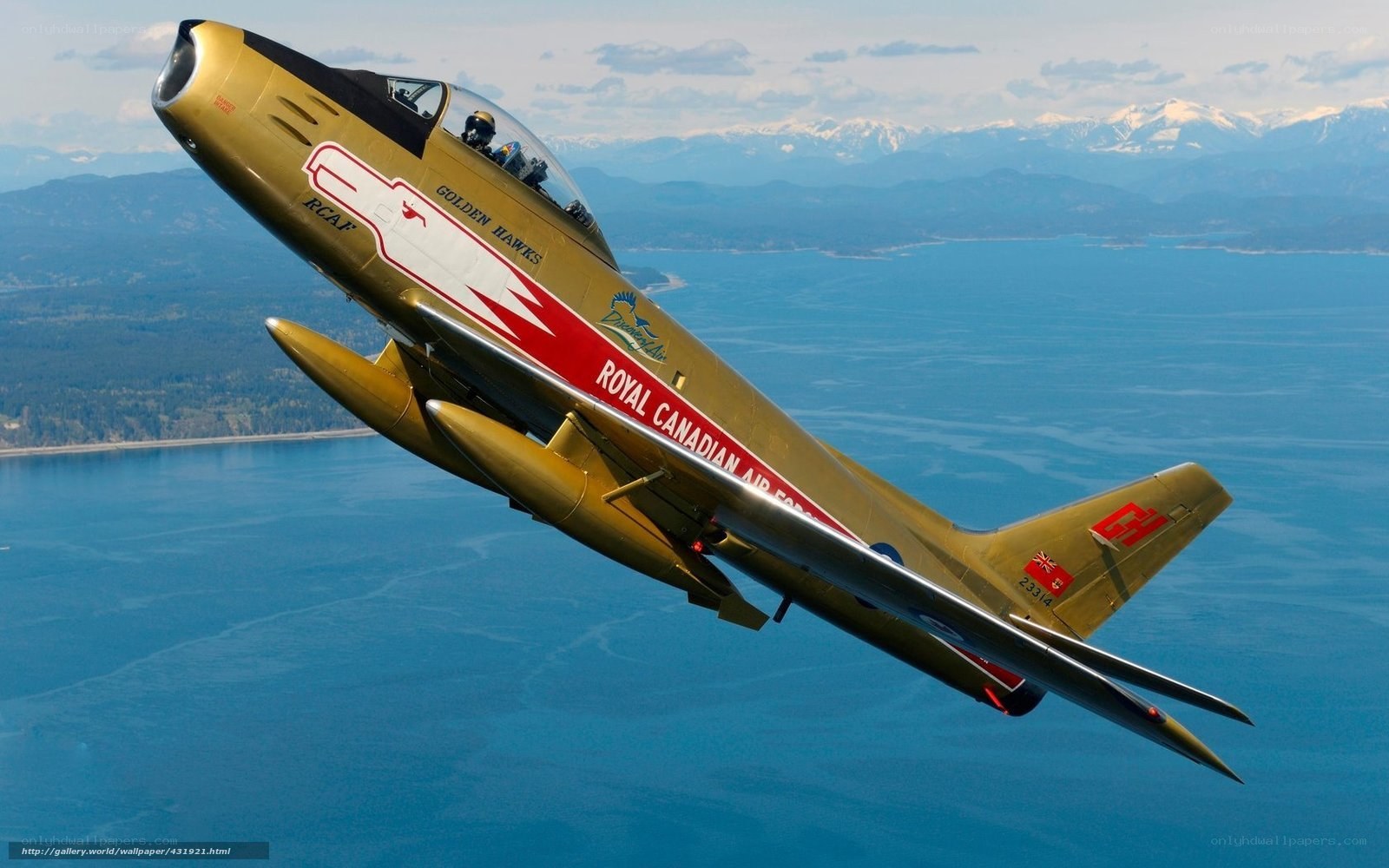 Golden Hawks jet in flight