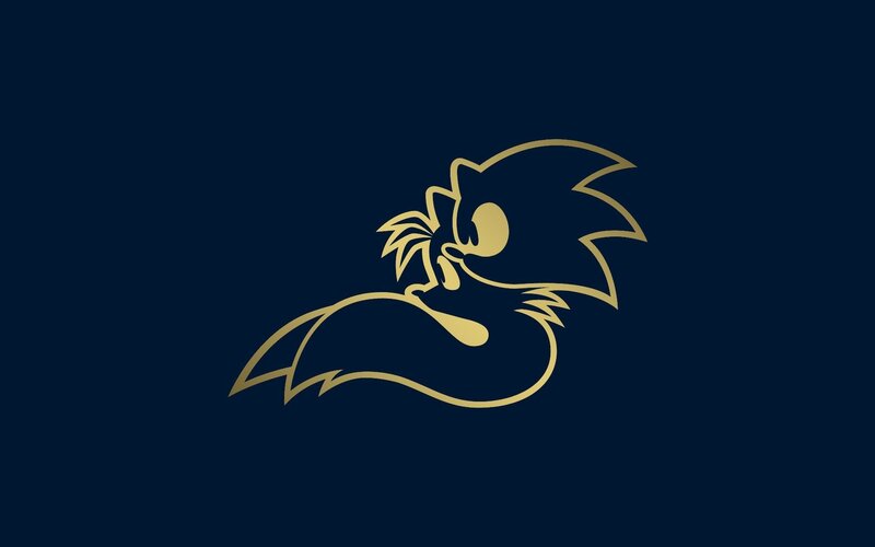 Golden Hedgehog Outline