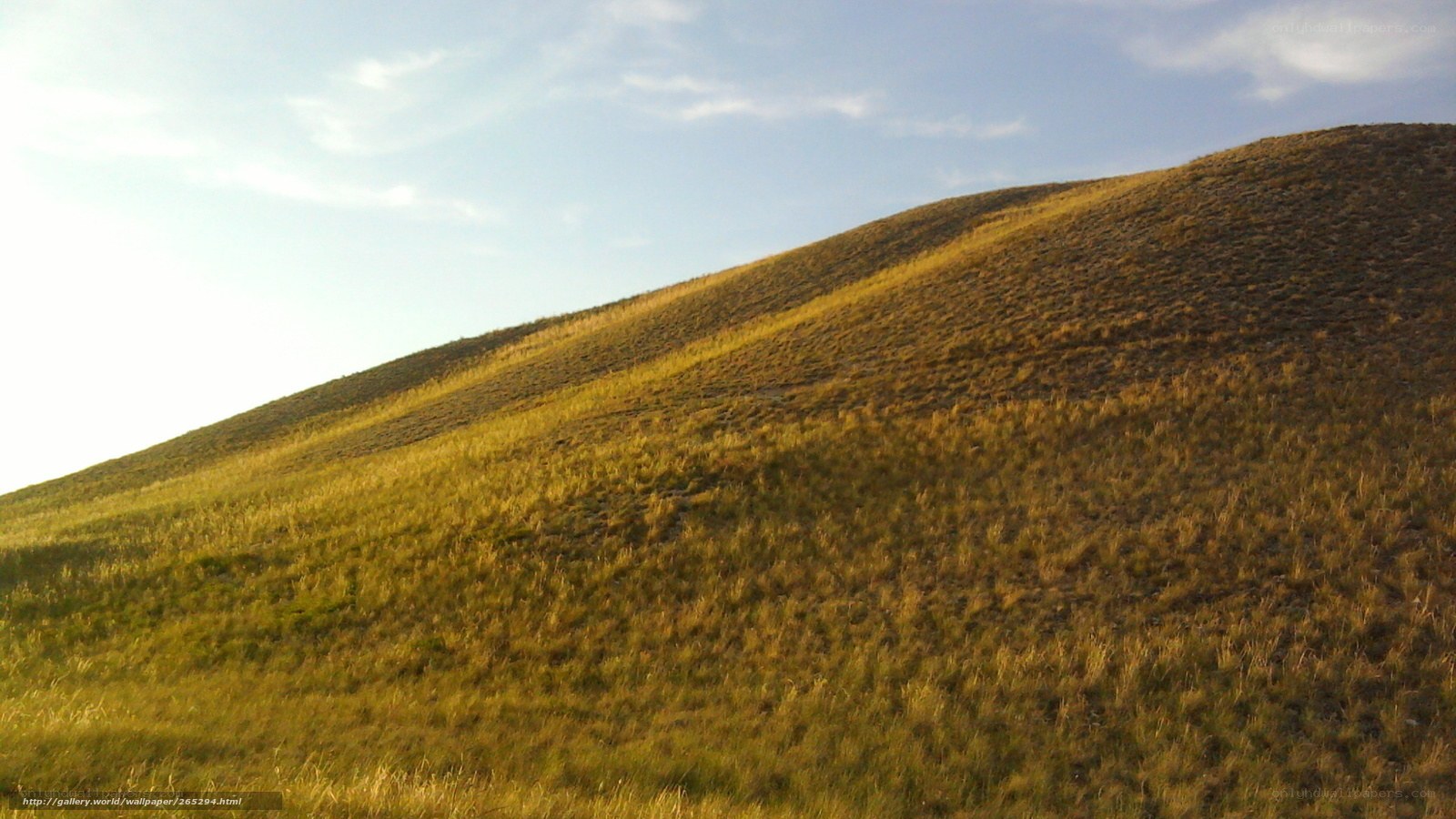 Golden Hill at Sunset