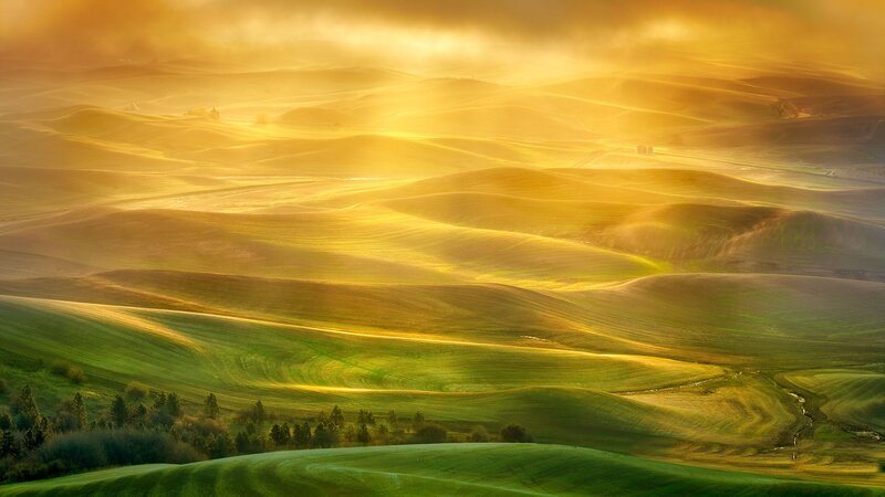Golden hills at sunrise