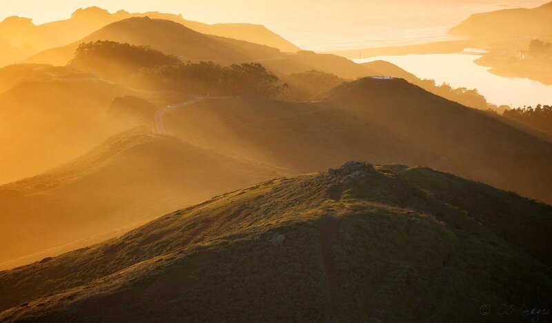 Golden hills at sunrise