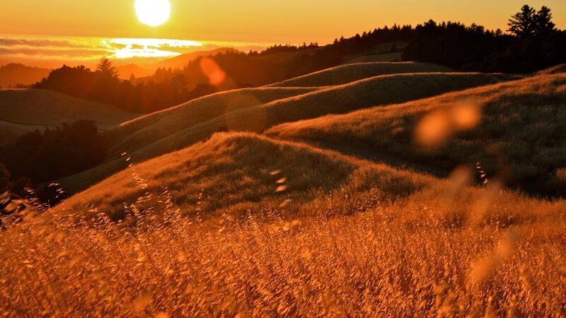 Golden Hills at Sunset — Orange, Serene, Photograph, Sun