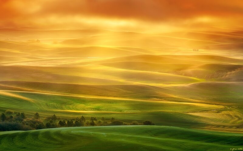 Golden Hills at Sunset