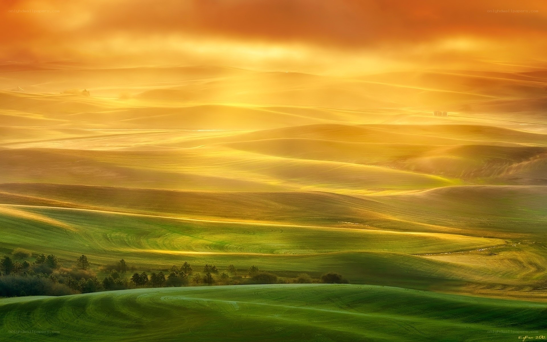 Golden Hills at Sunset