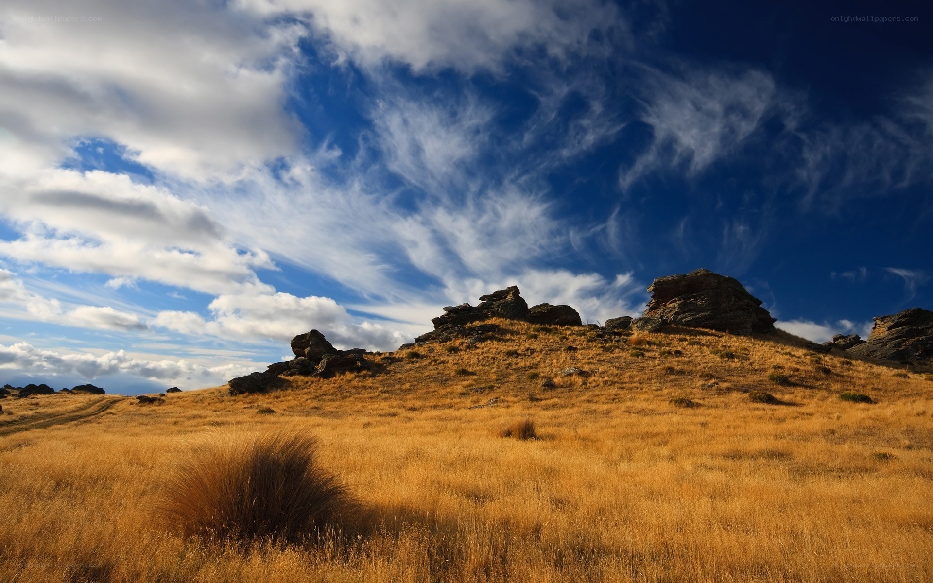 Golden hills under a cloudy sky