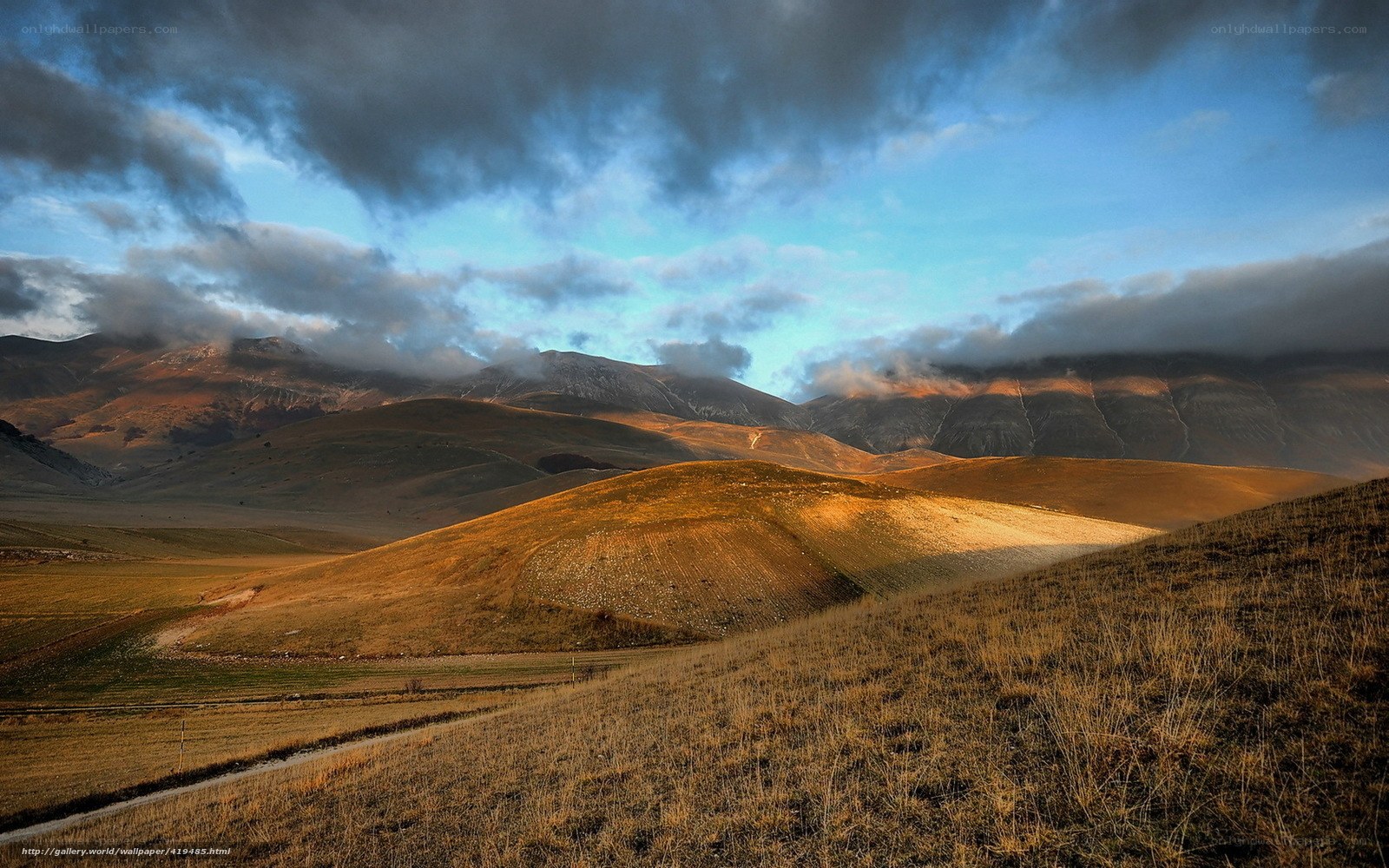 Golden hills under cloudy sky