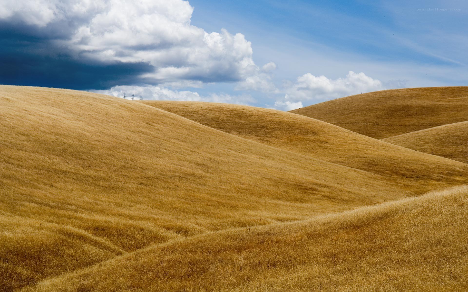 Golden hills under cloudy sky
