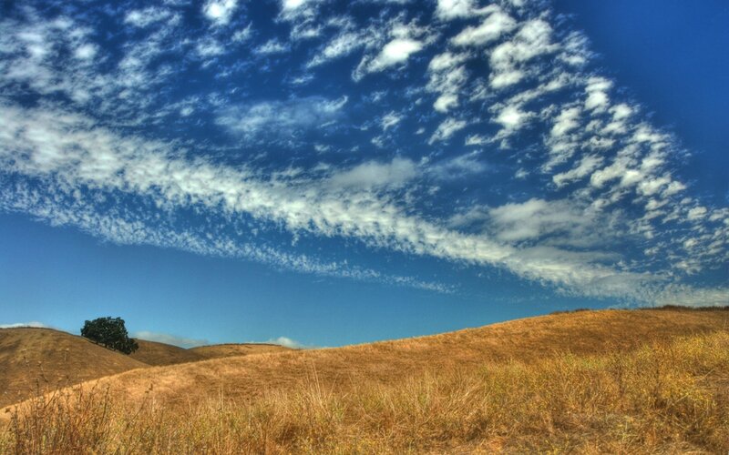 Golden hills under cloudy sky