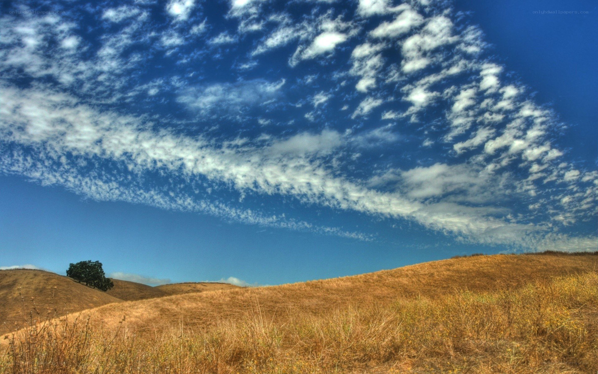 Golden hills under cloudy sky