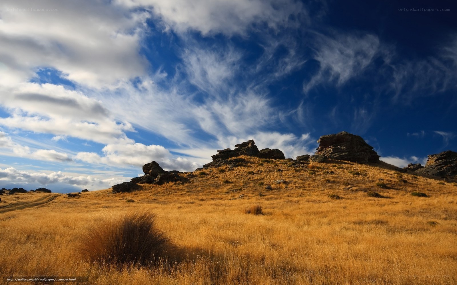 Golden Hills Under Cloudy Sky