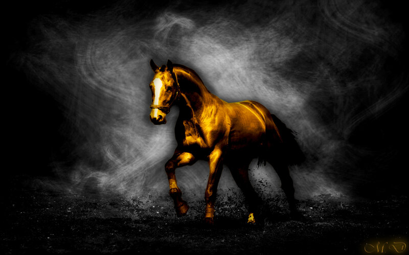 golden horse in motion