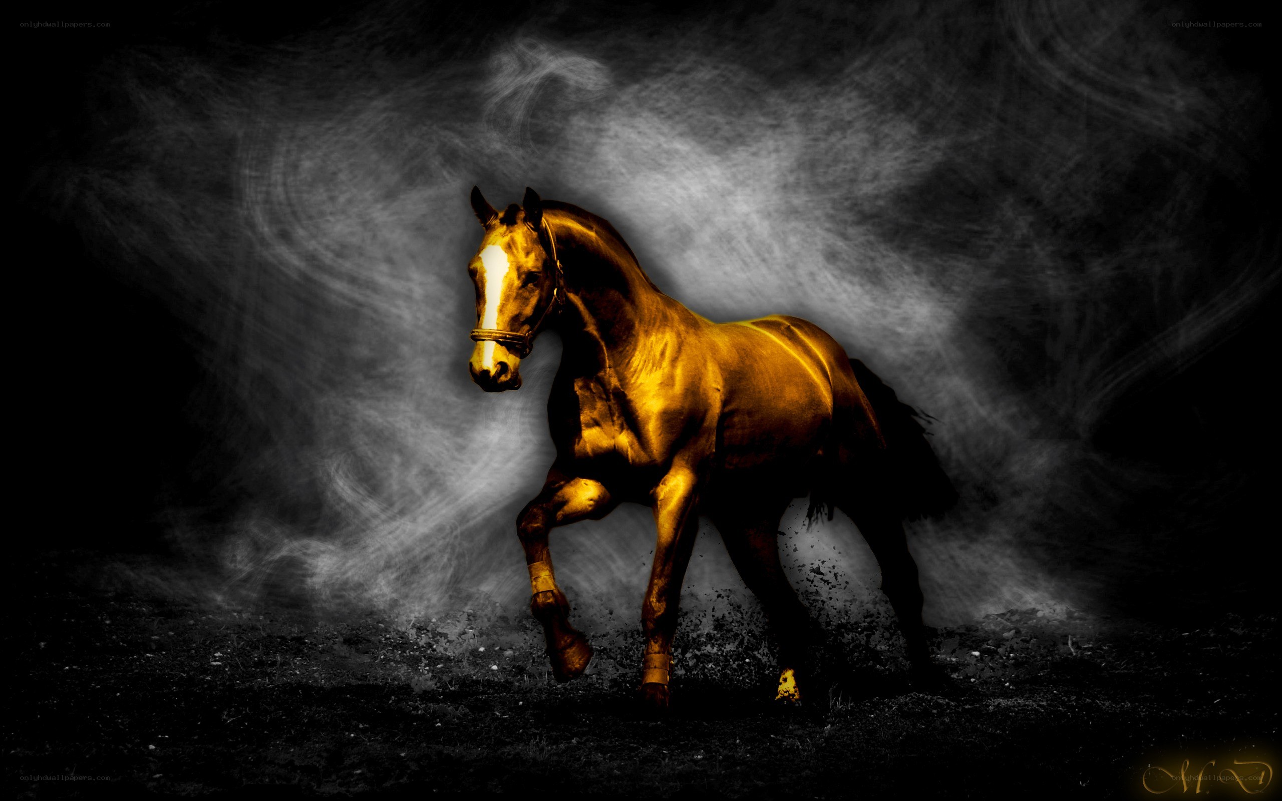 golden horse in motion
