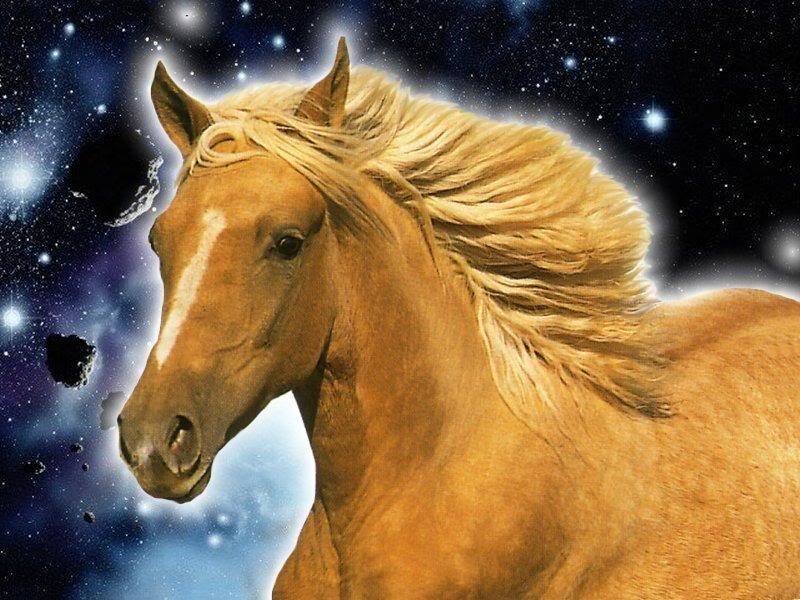 Golden Horse in Space