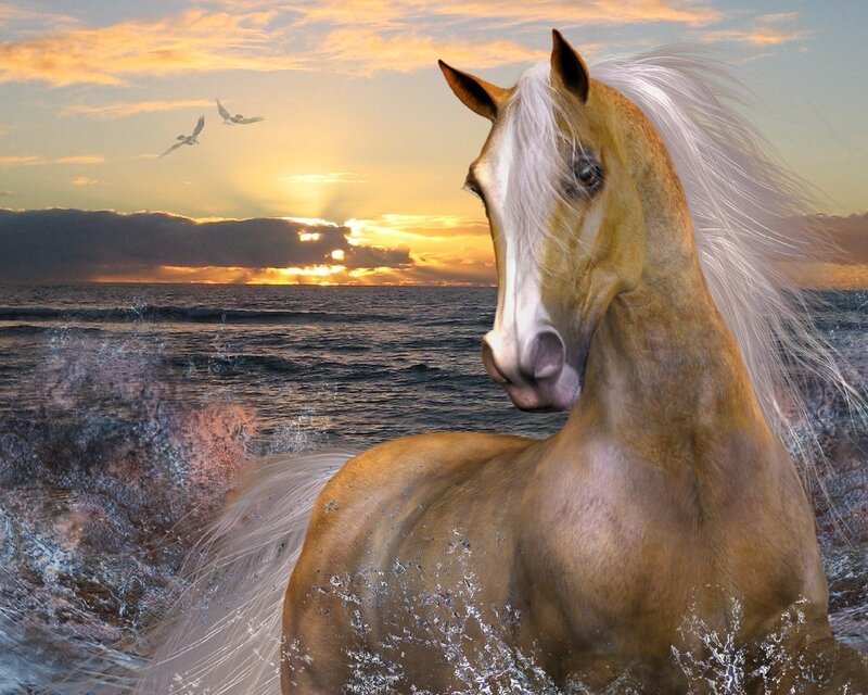 Golden Horse in Water