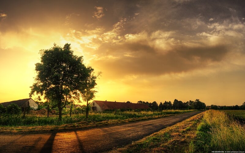 Golden Hour on a Country Road