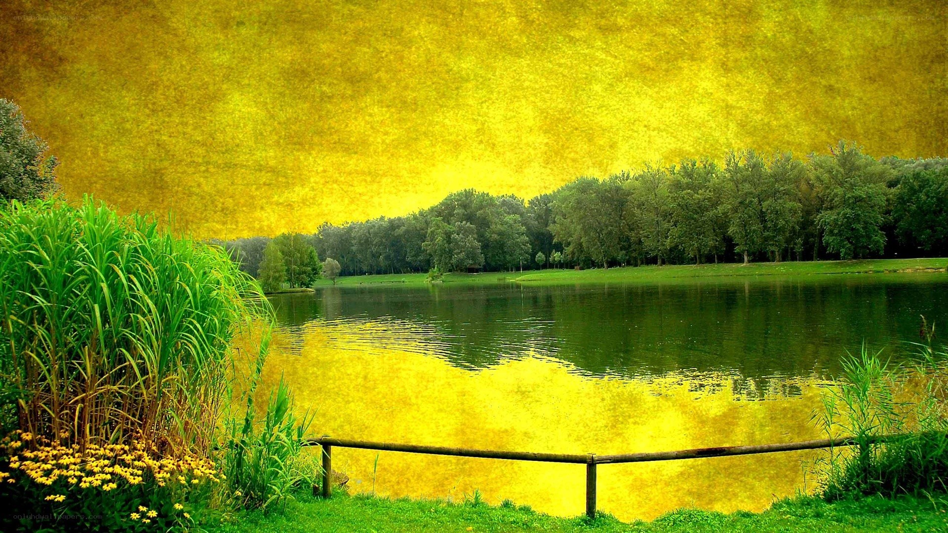 Golden lake at sunset