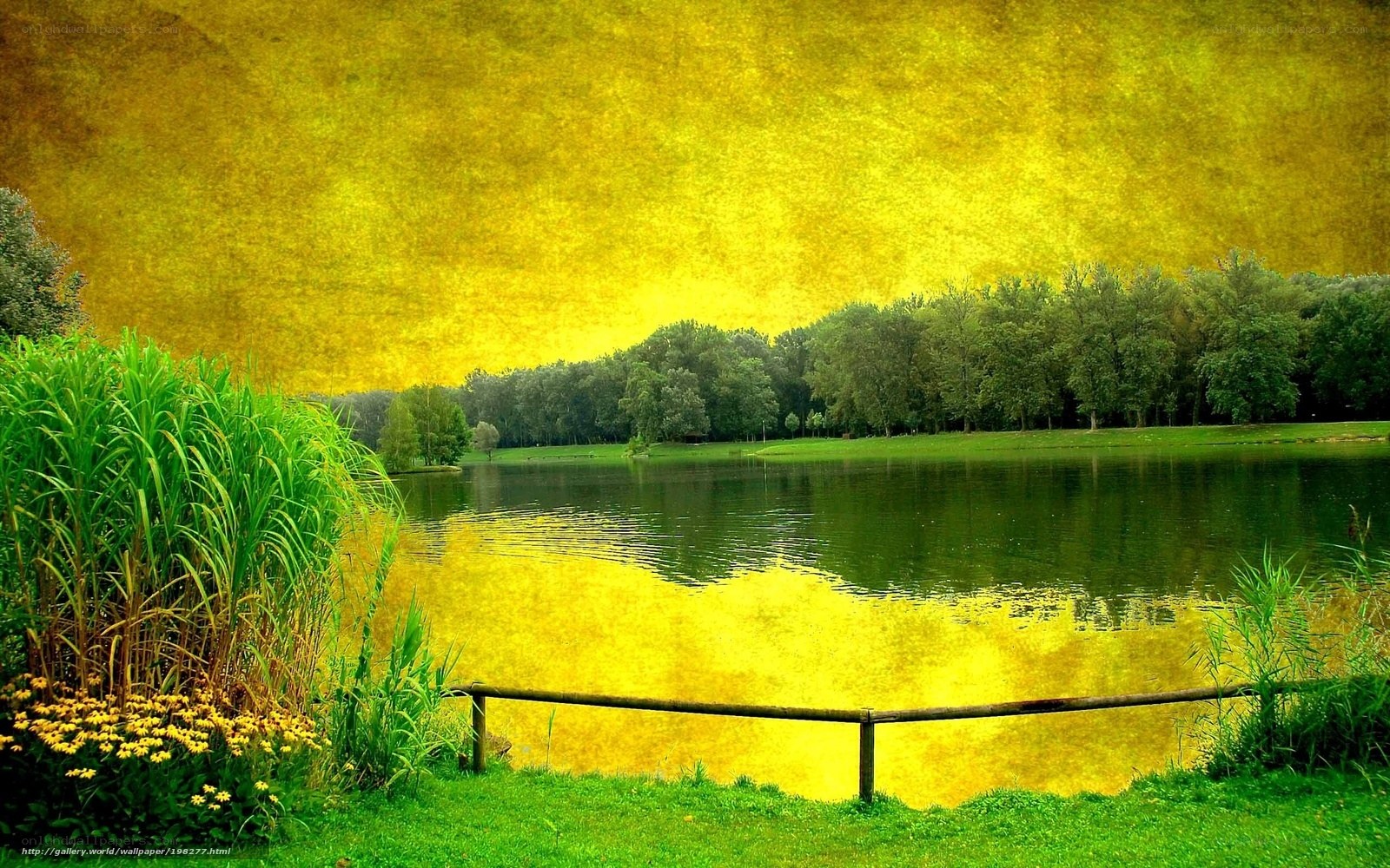 Golden Lake Landscape