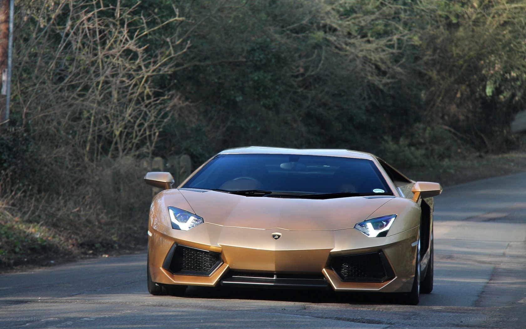 golden Lamborghini on a road