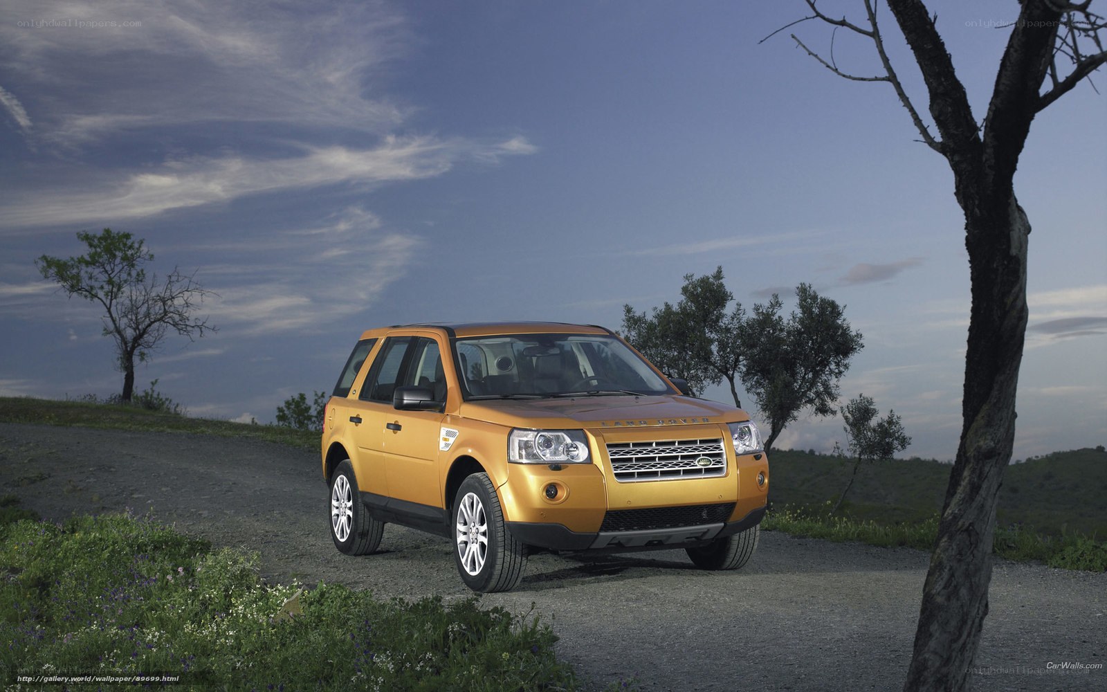 Golden Land Rover on a dirt road