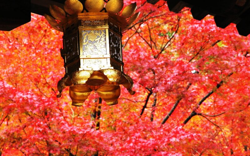 Golden lantern with autumn leaves
