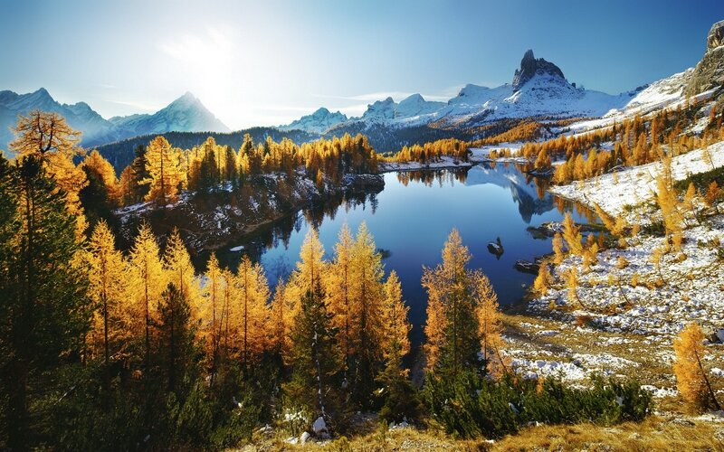 Golden Larch Trees by Lake — Blue