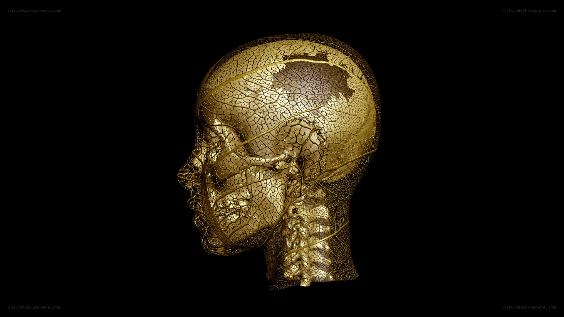 golden leaf skull sculpture