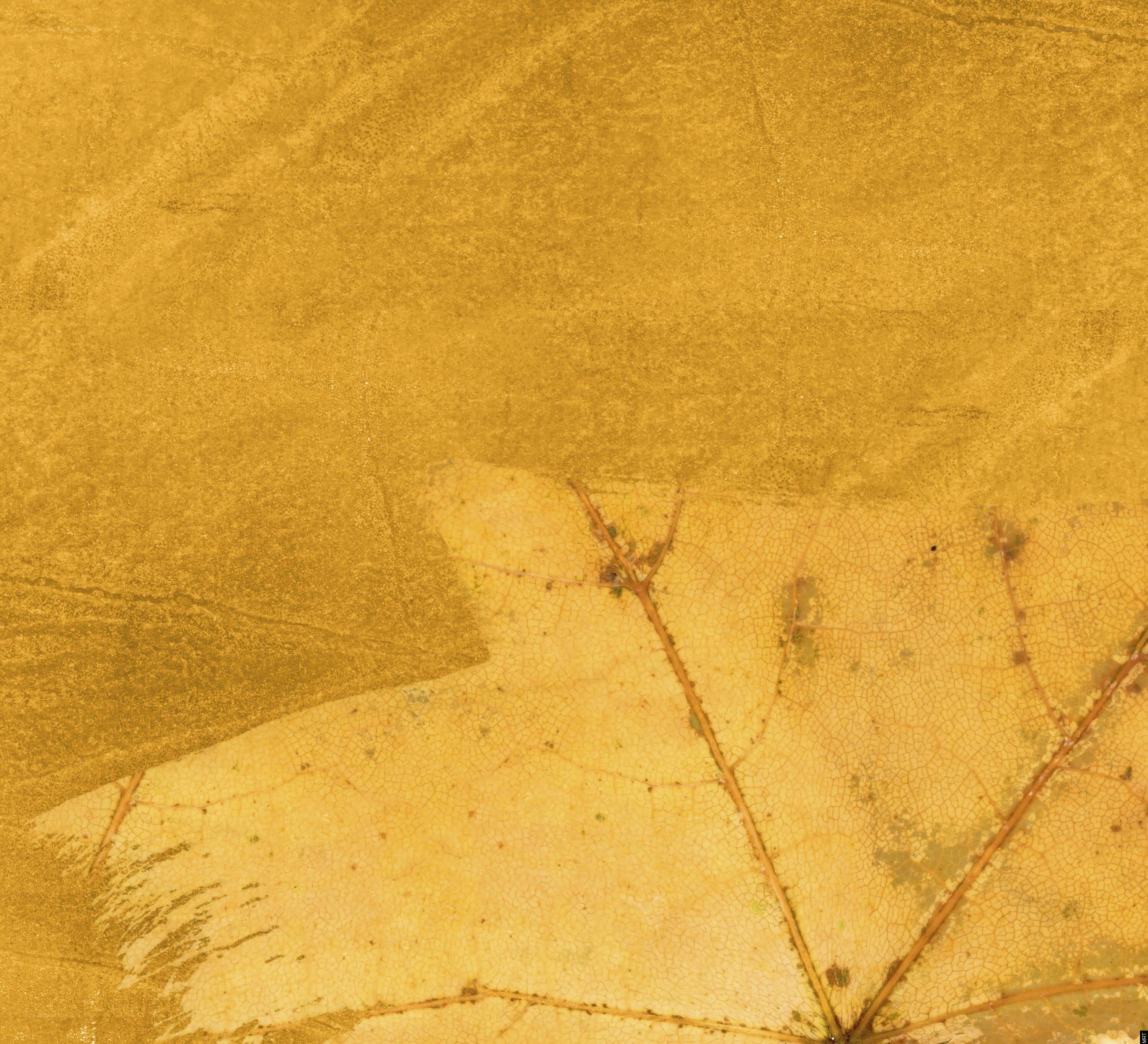 Golden leaf texture background