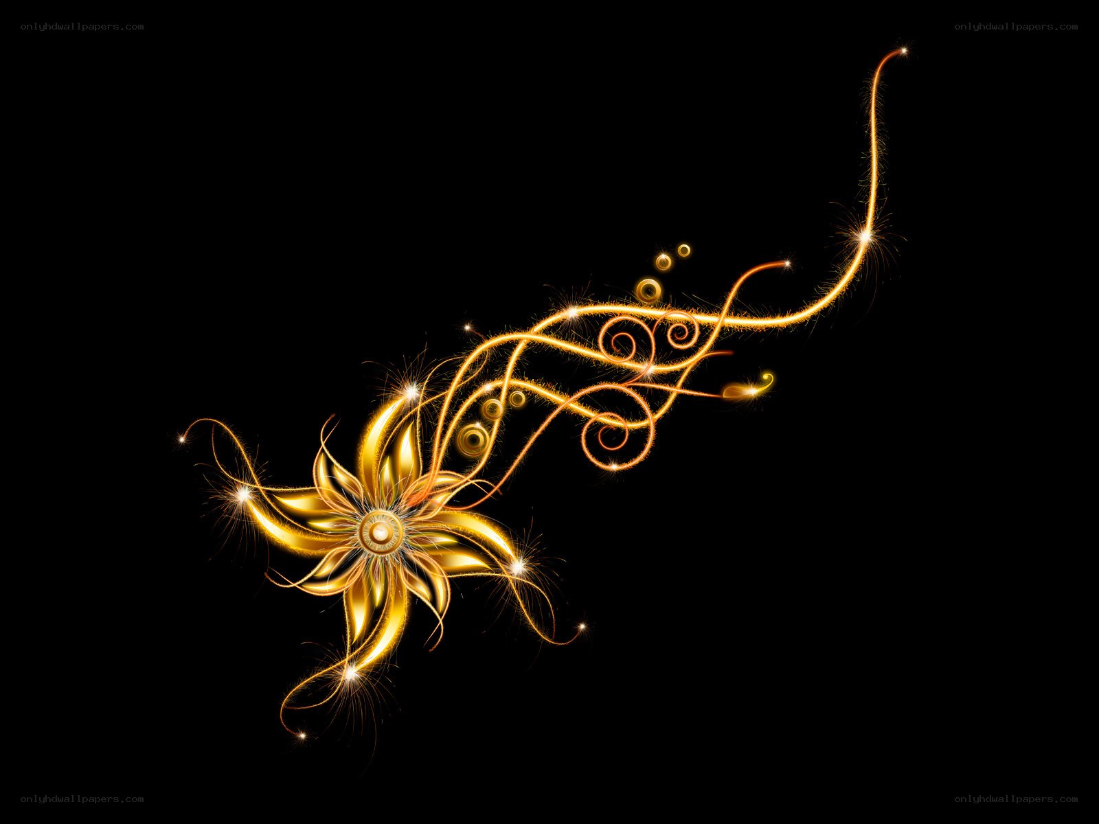 golden light flower design