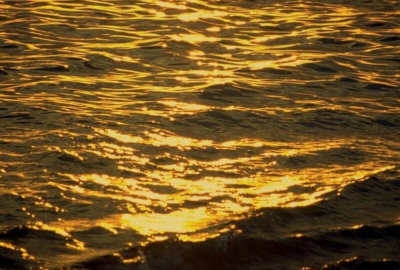 Golden light on rippling water