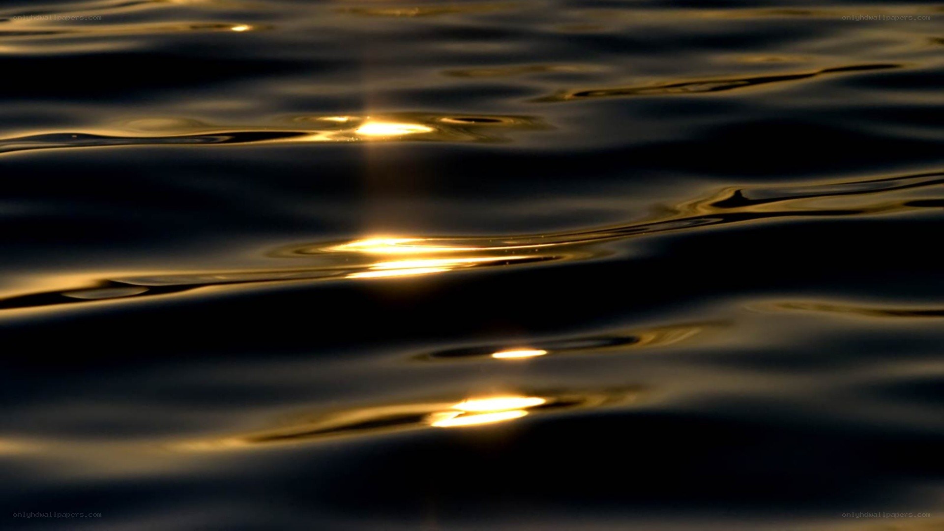 golden light on rippling water