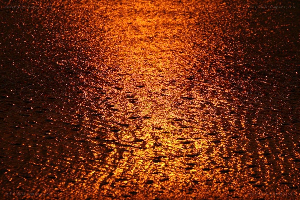 golden light on water