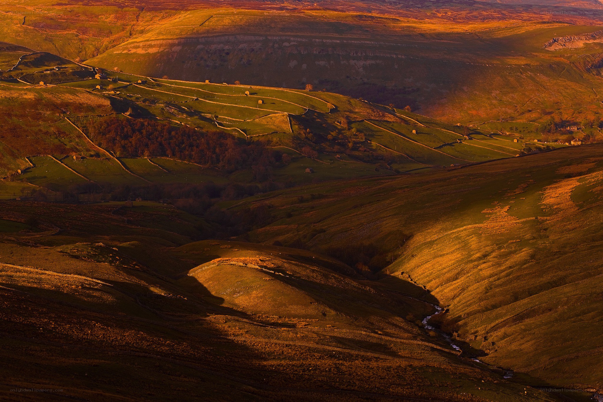 Golden light over rolling hills