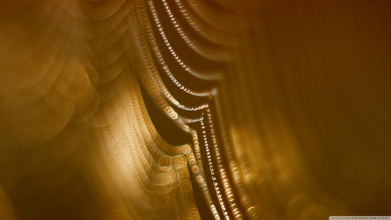 Golden Light Patterns — Gold