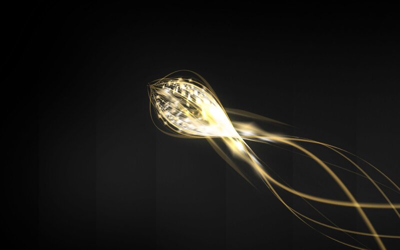Golden Light Streak — Black