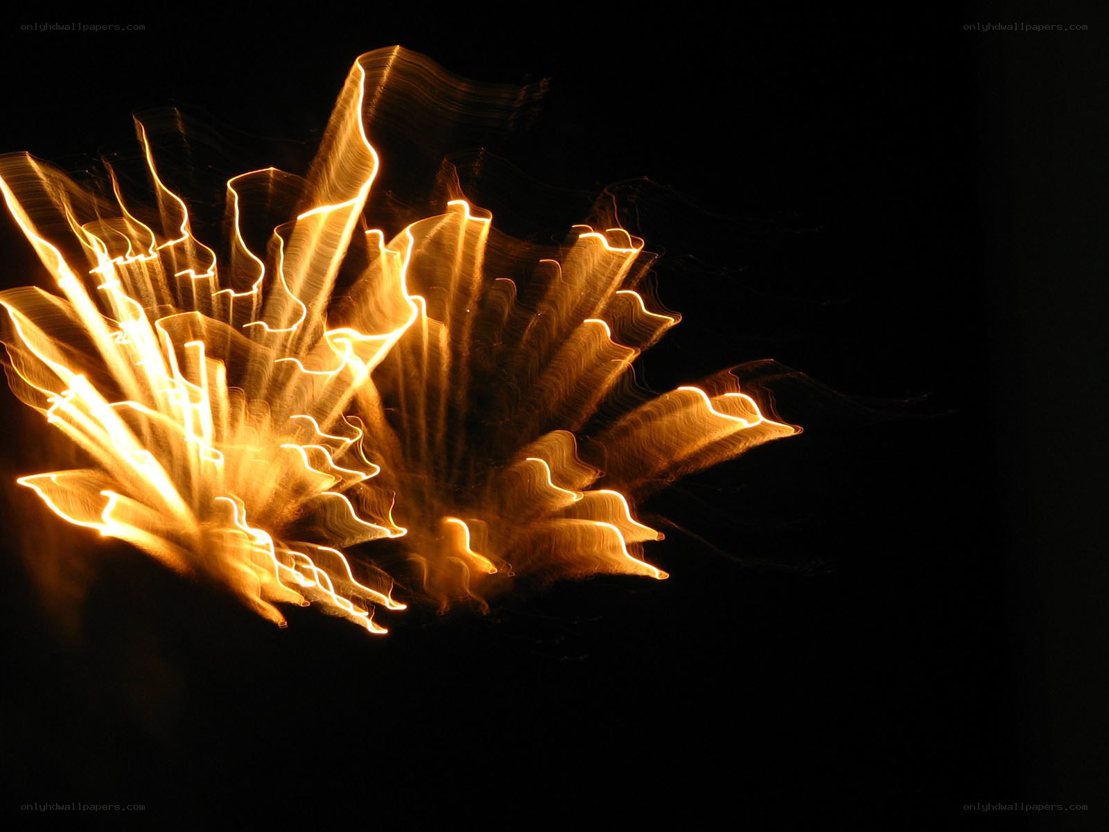 Golden light trails in motion