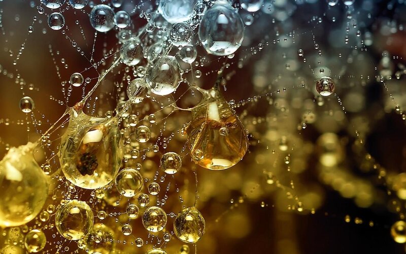 Golden Liquid Droplets — Gold, Dramatic, Photograph