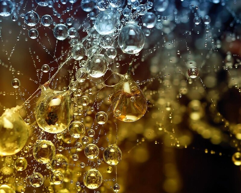 Golden Liquid Droplets — Gold