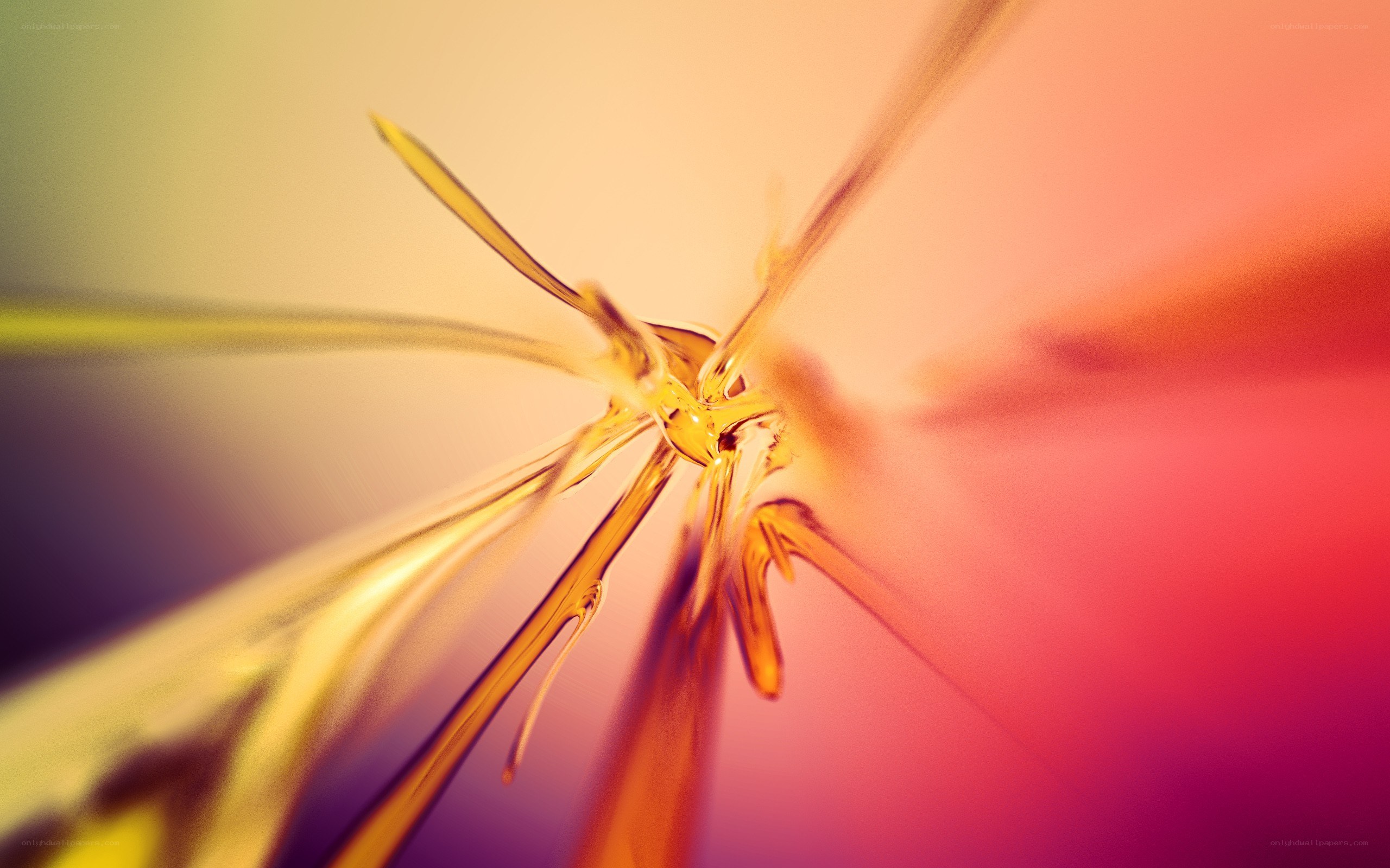 golden liquid splashing