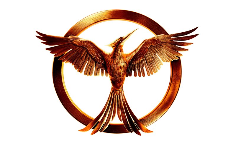 Golden Mockingjay Bird