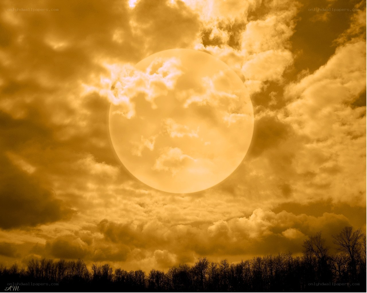 Golden moon over clouds