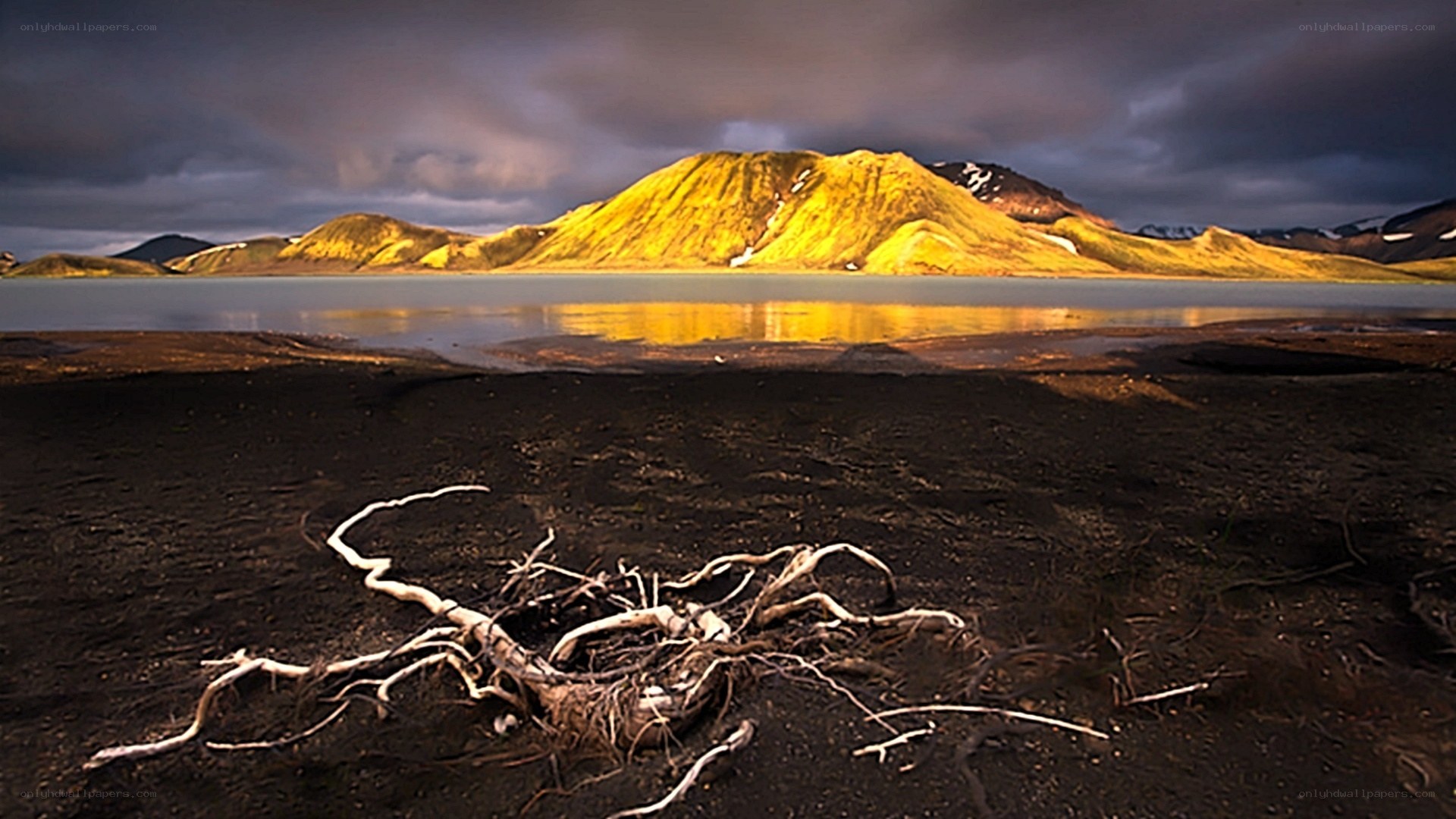 golden mountain landscape