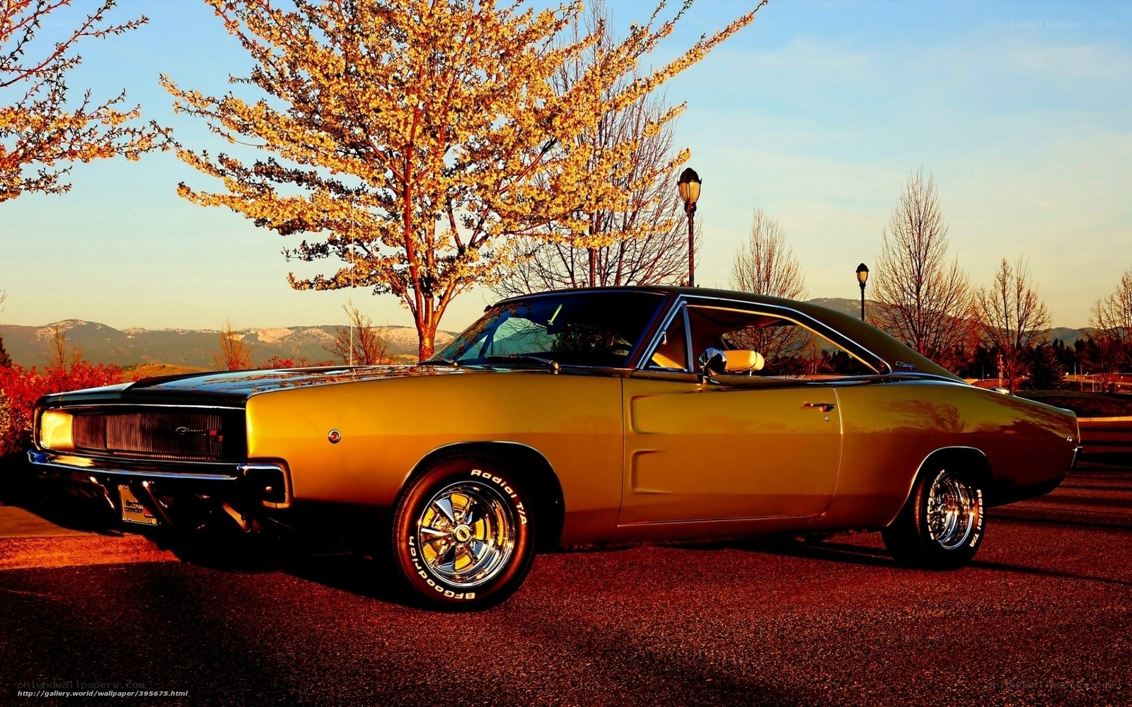 Golden muscle car at sunset