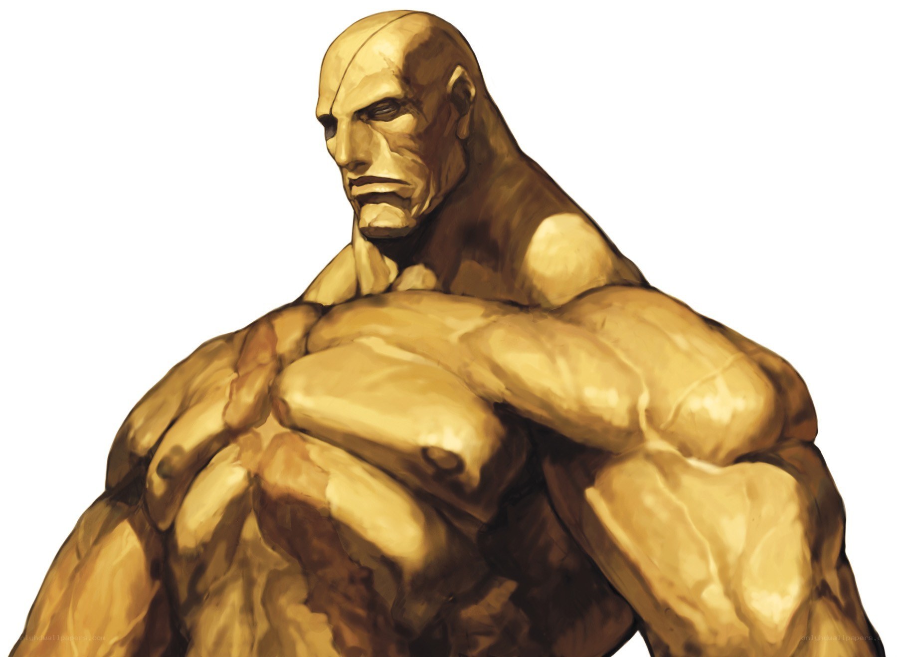 golden muscular character